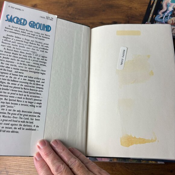 Mercedes Lackey & Larry Dixon 4 Hardcover Books Owlknight Owlflight 1st Edition - Picture 11 of 14